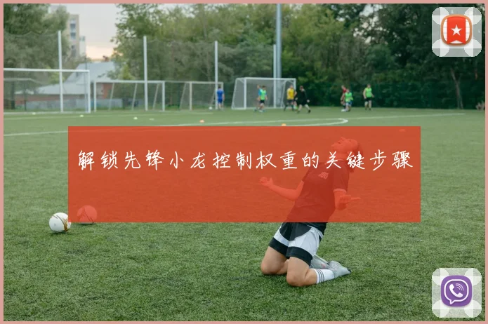 解锁先锋小龙控制权重的关键步骤