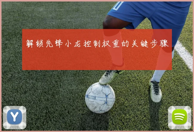 解锁先锋小龙控制权重的关键步骤