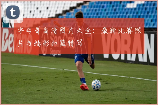 字母哥高清图片大全：最新比赛照片与精彩扣篮特写