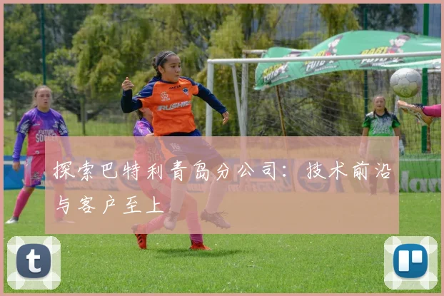探索巴特利青岛分公司:技术前沿与客户至上
